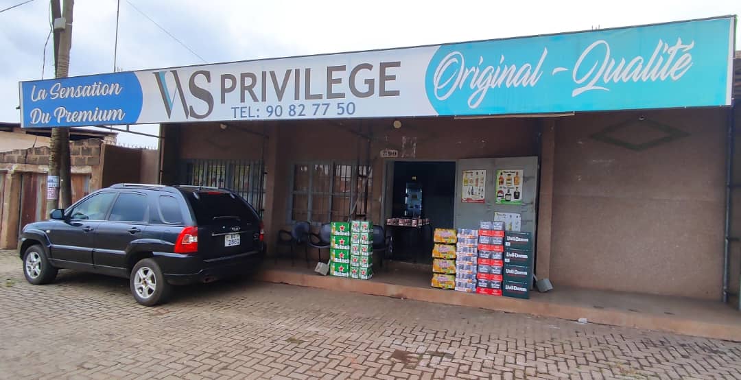 W&S PRIVILEGE IMPORT